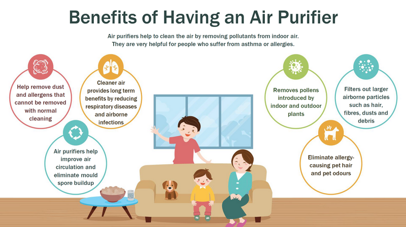 Allergies Improve Your Homes Indoor Air Quality