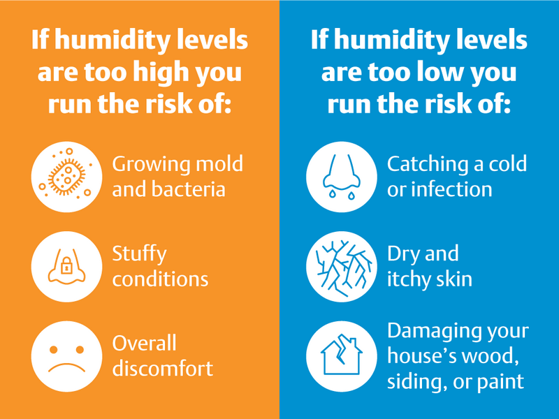 How to Optimize the Humidity in Your Home During Winter