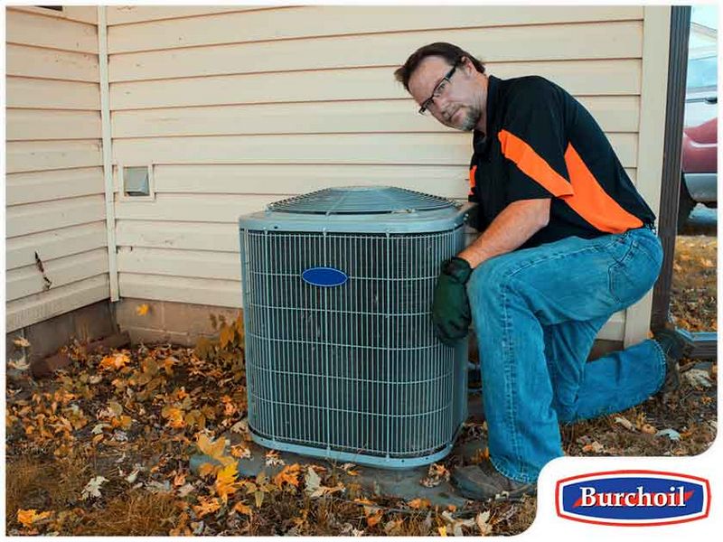 HVAC Tips (Especially for Homeowners with Furry Friends)