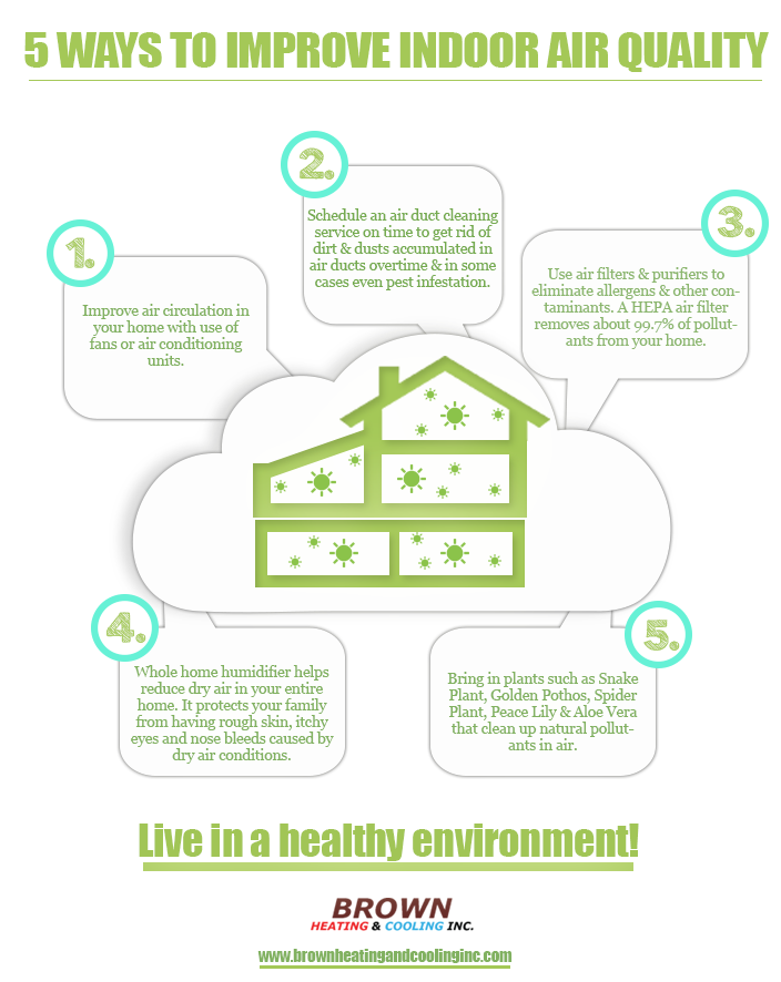 Natural Ways to Improve Indoor Air Quality